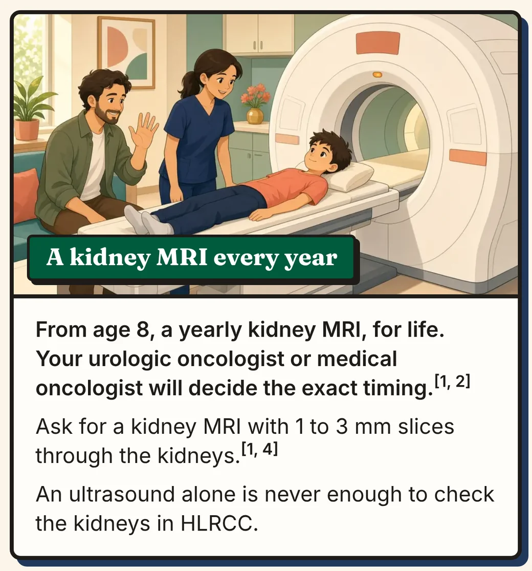 Comic panel 5 of 12, A kidney MRI every year. Picture: a child lies on an MRI scanner table while a technologist and a parent reassure him. Text: From age 8, a yearly kidney MRI, for life. Your urologic oncologist or medical oncologist will decide the exact timing. Ask for a kidney MRI with 1 to 3 mm slices through the kidneys. An ultrasound alone is never enough to check the kidneys in HLRCC.