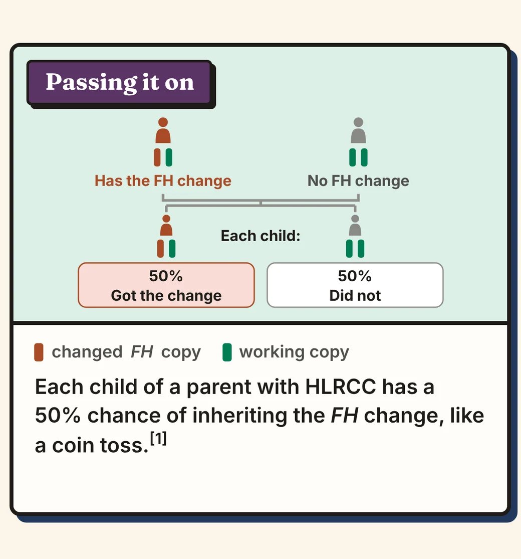 Comic panel 8 of 12, Passing it on. Diagram: a parent who has the FH change and a parent with no FH change; each child: 50% got the change, 50% did not. Key: changed FH copy, working copy. Text: Each child of a parent with HLRCC has a 50% chance of inheriting the FH change, like a coin toss.