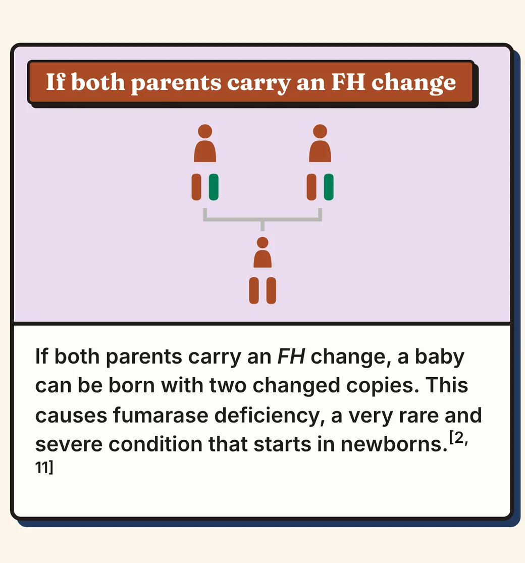 Comic panel 10 of 12, If both parents carry an FH change. Diagram: two parents who each have one changed FH copy, and a child with two changed copies. Text: If both parents carry an FH change, a baby can be born with two changed copies. This causes fumarase deficiency, a very rare and severe condition that starts in newborns.